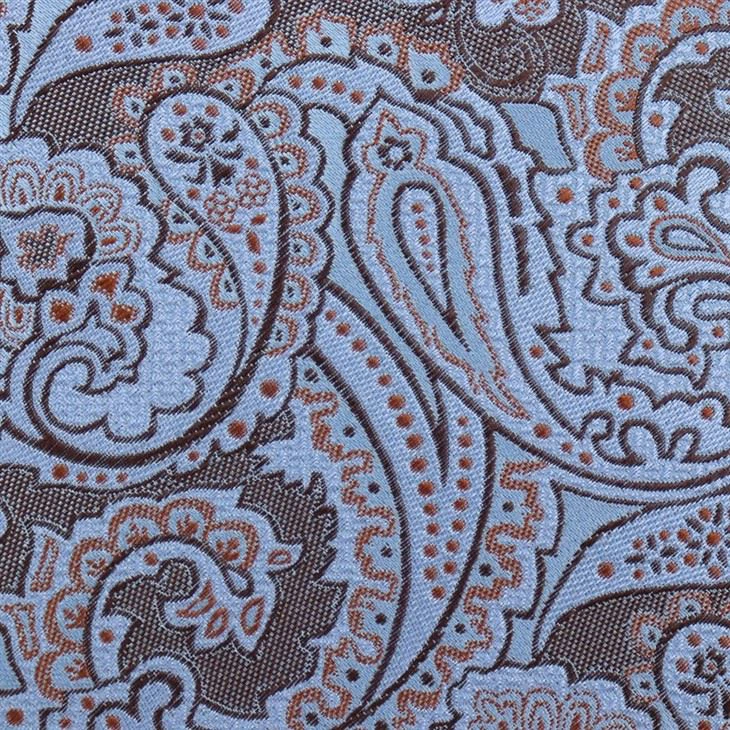 Mens Paisley Ties