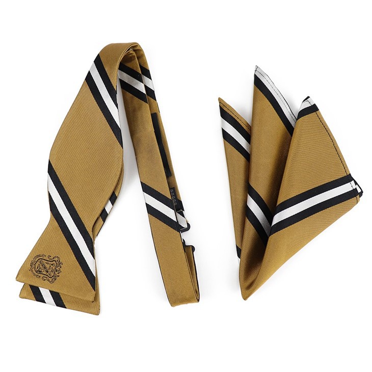 Bow Tie And Handkerchief Set