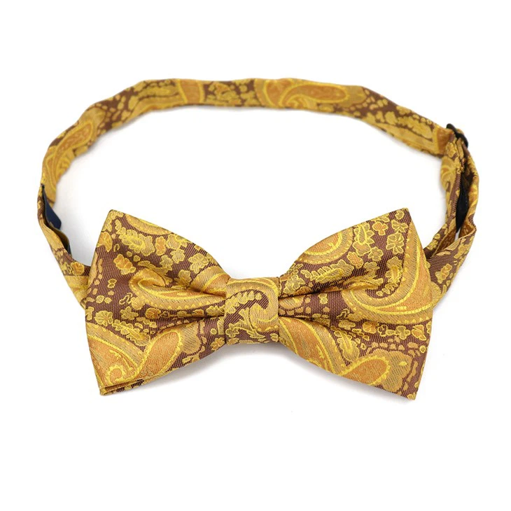 Mens Paisley Bow Ties