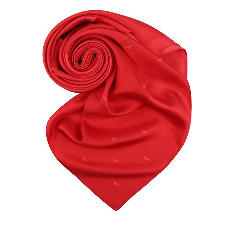 Chiffon Printed Scarf